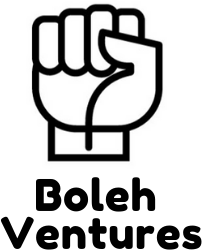 Boleh Capital Pte Ltd Logo